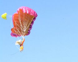 Falli im Vorbeiflug