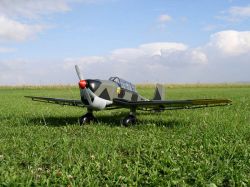 Stuka von vorn